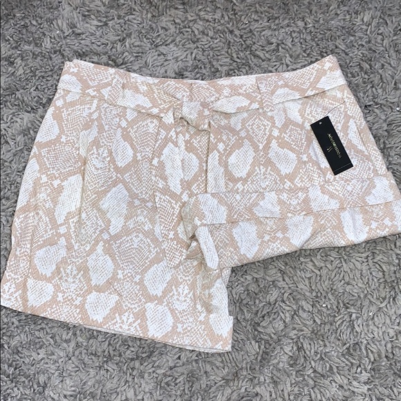 Snake print belted shorts - Picture 5 of 6